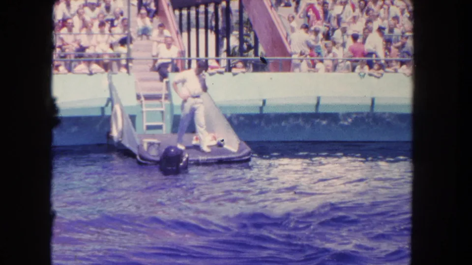 1962 Marineland of the Pacific home-movie frame showing a trainer on a pool platform near a dolphin, with a large audience behind.