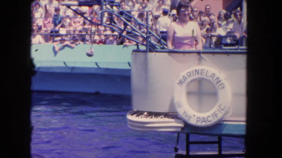 1962 home-movie frame of a Marineland of the Pacific show area with bleachers, trainer, blue water, and a branded life ring.