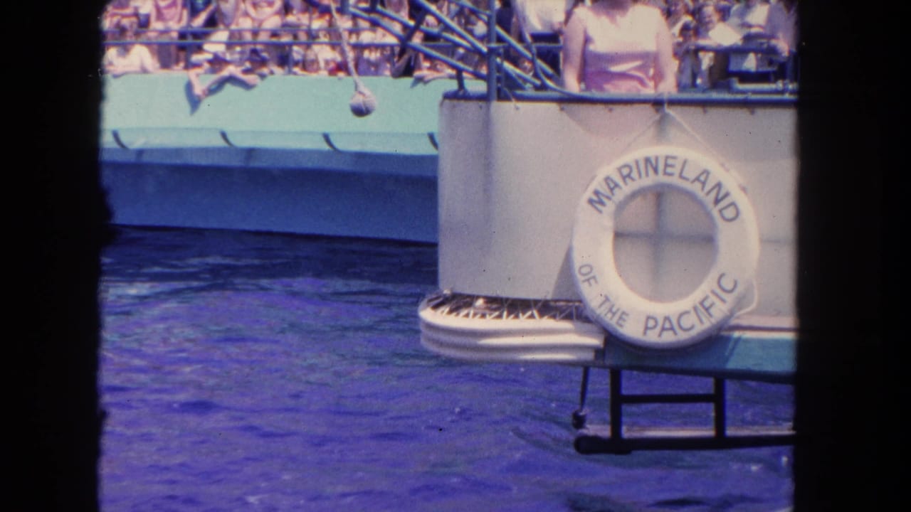 Blue pool and Marineland life ring with spectators seated behind the show tank.