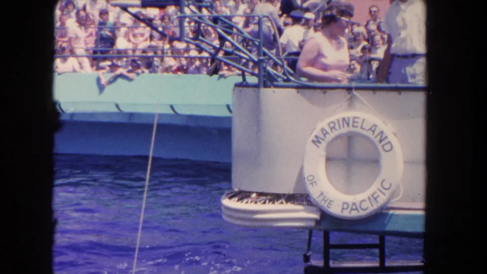 1962 Marineland of the Pacific frame with trainer, audience, blue pool, and hanging cue line visible in the show arena.