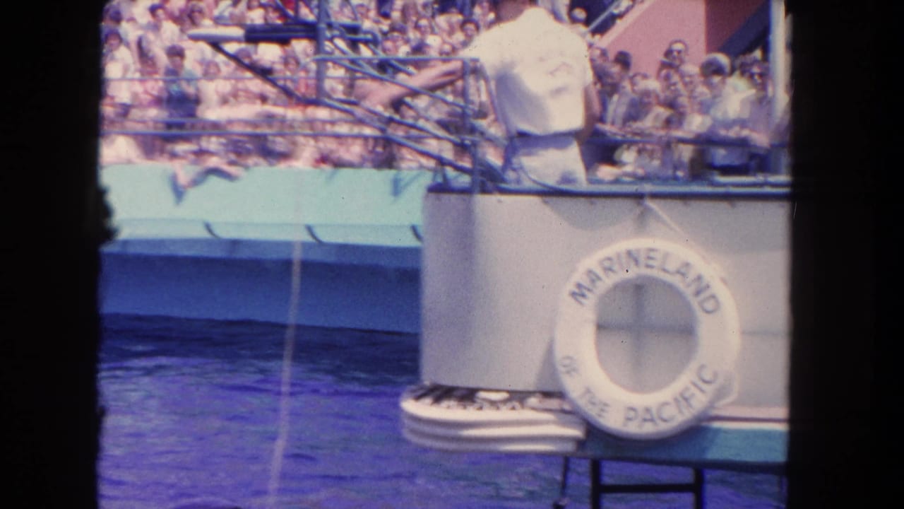 A Marineland of the Pacific life preserver hangs on the pool platform while spectators watch from bleachers in the 1962 footage.