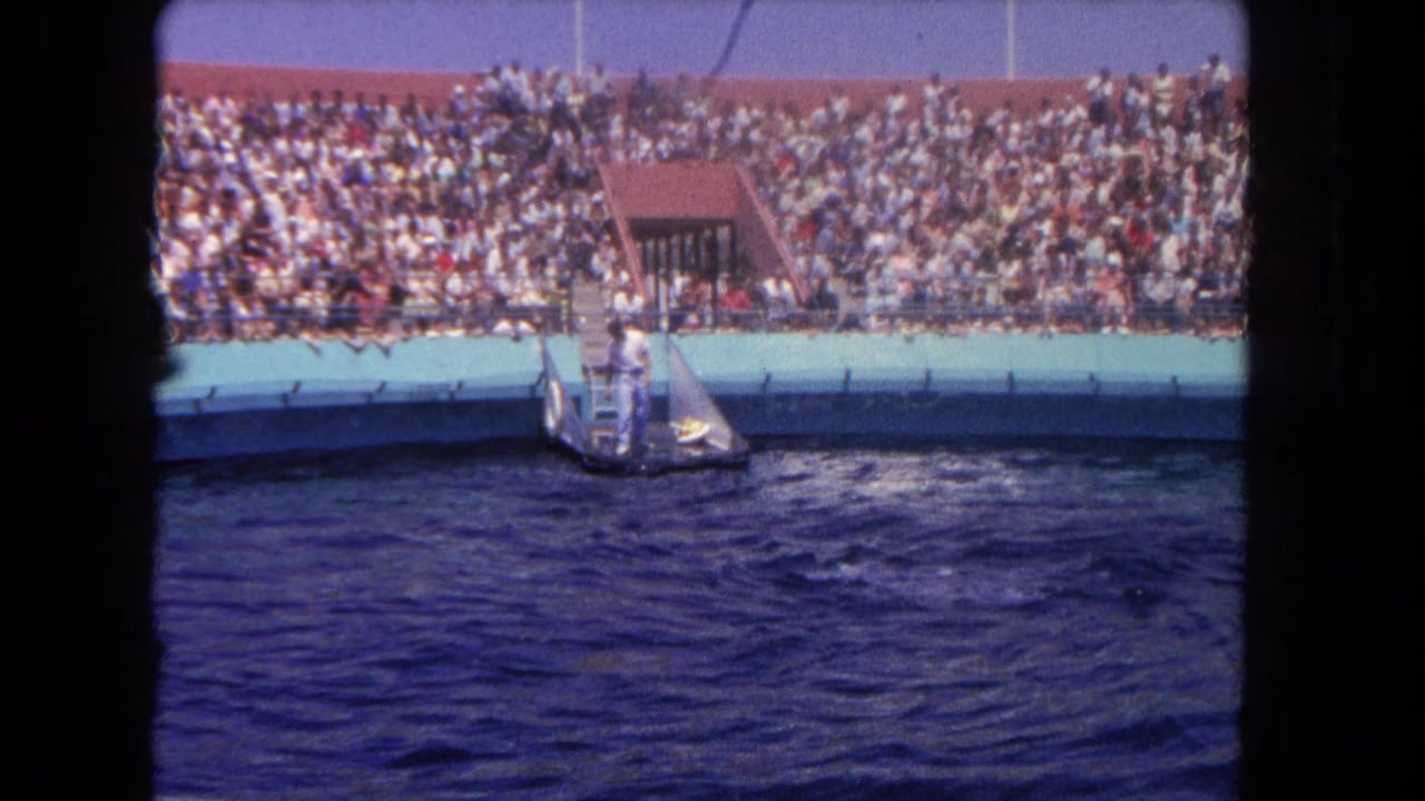 Distant 8mm view of an outdoor Los Angeles aquatic performance with a crowd filling the stands.