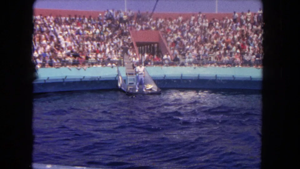 Wide 8mm frame of a Los Angeles aquatic performance seen from across pool water in 1962.
