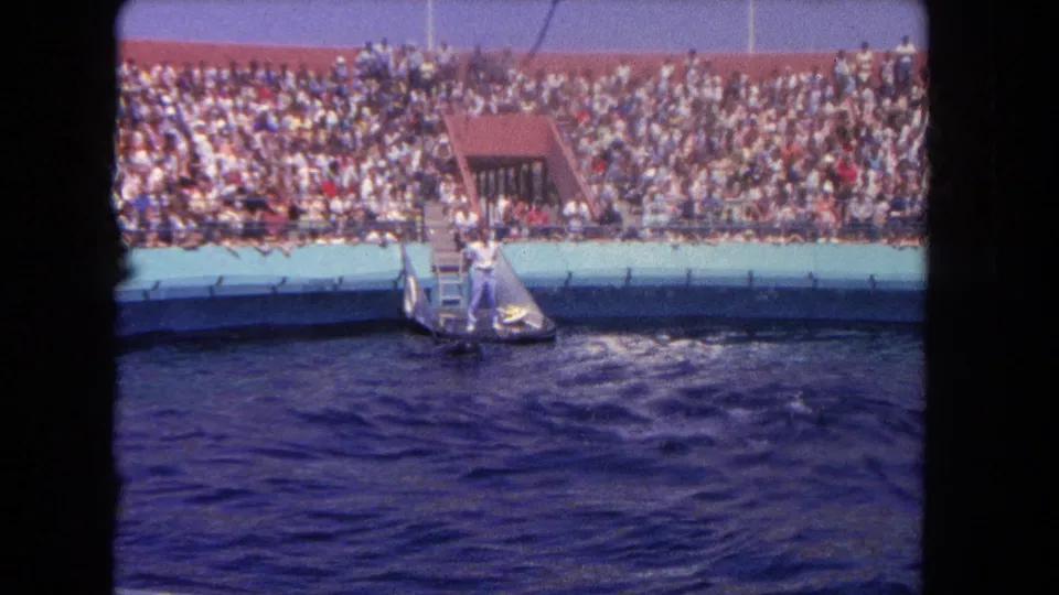 1962 Los Angeles home-movie frame showing a trainer at a dolphin pool with a large seated crowd behind the railing.