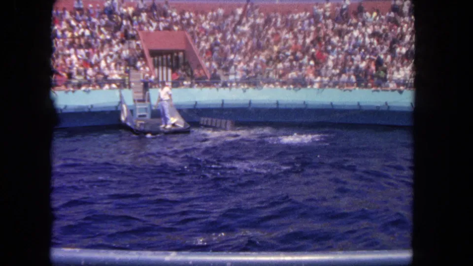 Vintage 8mm frame of a trainer at a dolphin-show platform in Los Angeles, with water splashes and a packed audience behind him.