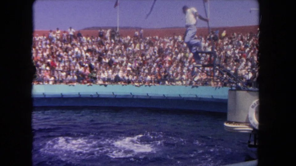 1962 Los Angeles dolphin-show frame with foam on the pool surface, a trainer platform, and crowd-filled bleachers.
