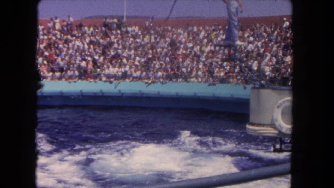 Foamy pool water in front of a crowded aquarium audience.