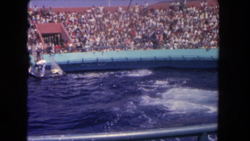 A trainer in light clothing appears near a platform at the 1962 Los Angeles aquarium show as foam spreads across the pool.