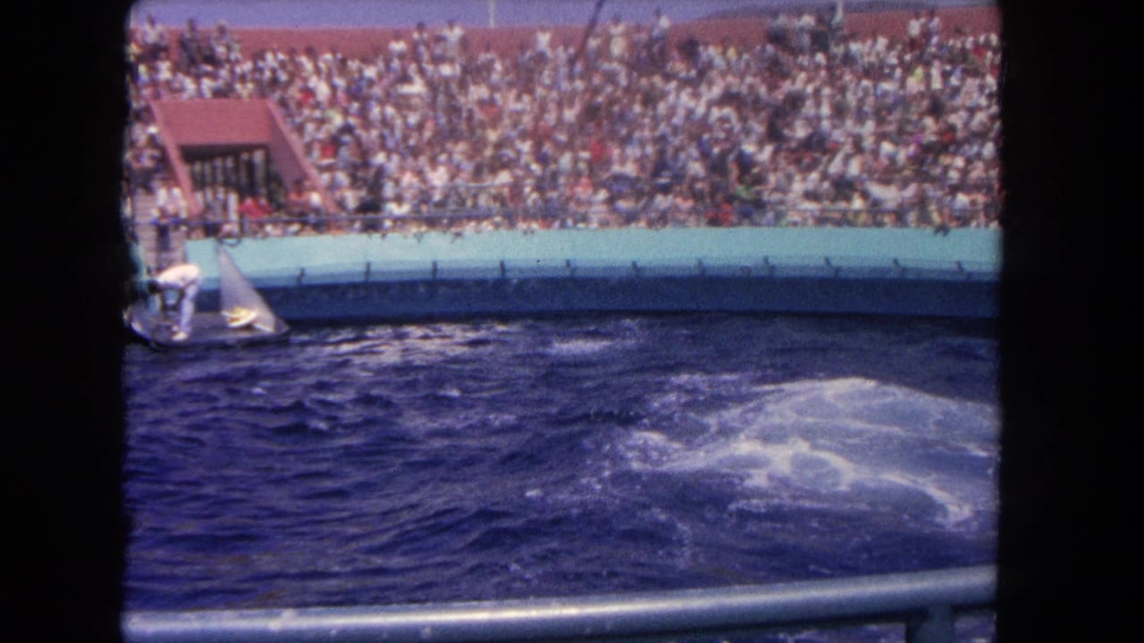 Crowded bleachers overlook a pool where water churns near a performance area.