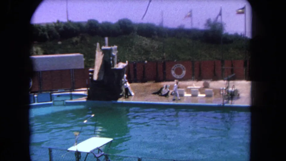 Visitor-shot 1962 Los Angeles frame of trainers and sea lions on a poolside show stage with a foreground platform.