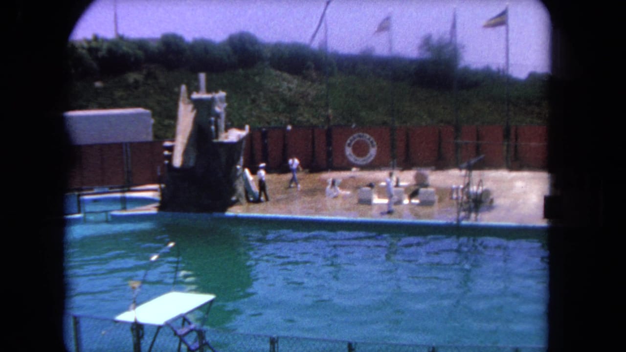 Sea lion show platform beside a pool with trainers, benches, a shipwreck prop, and a Marineland sign.