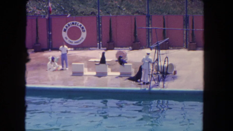 1962 Los Angeles home-movie frame of handlers in white uniforms and sea lions on a Marineland poolside performance stage.