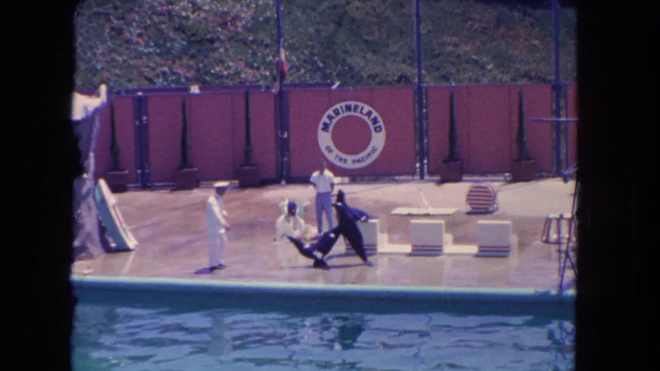 Visitor-shot 1962 Marineland frame showing handlers supervising sea lions on a poolside performance stage.