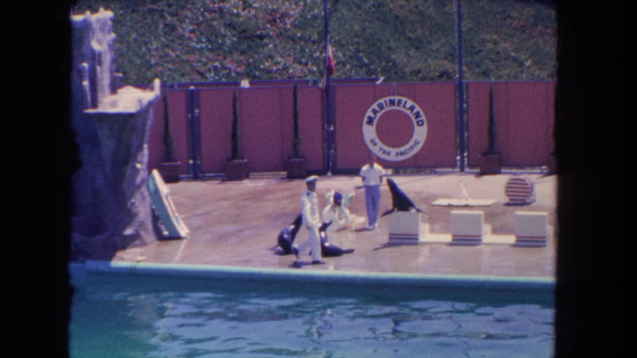 Outdoor Marineland show scene in Los Angeles with sea lions near white-uniformed trainers and the circular park sign behind them.
