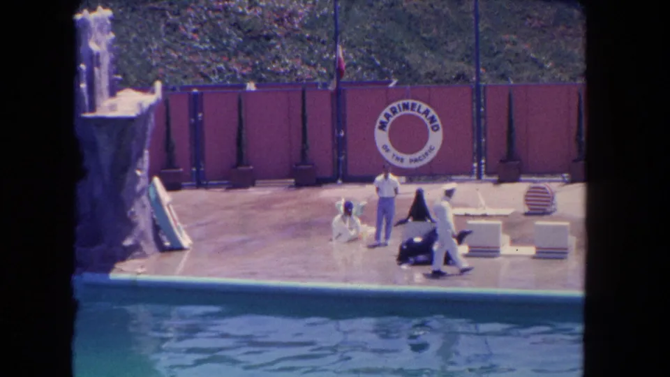 Visitor-shot 8mm frame from a 1962 Marineland sea lion act, with trainers, props, pool water, and the park logo visible.