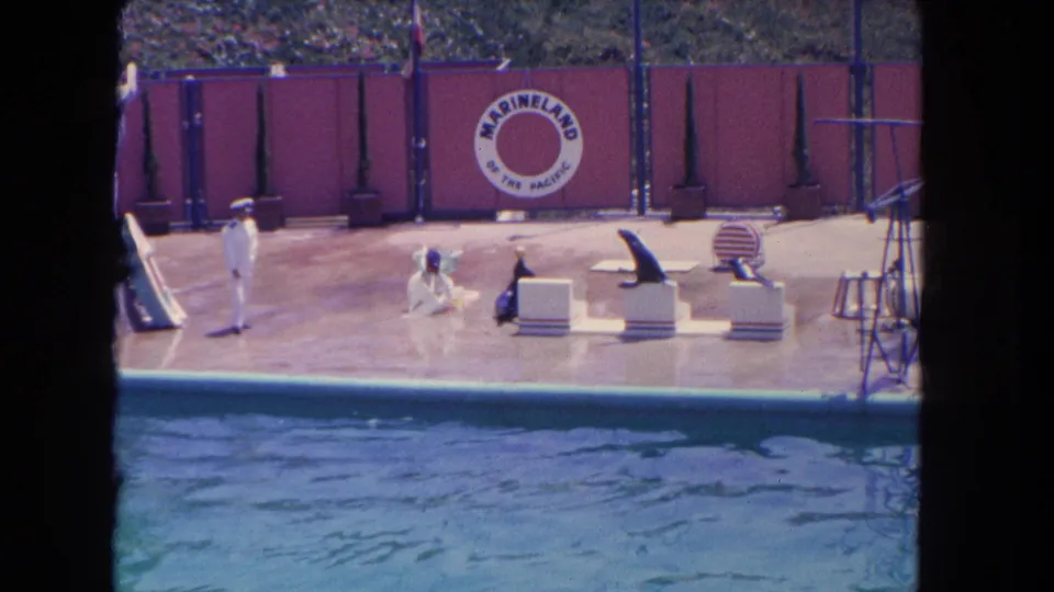 1962 home-movie frame of a Marineland poolside training moment with sea lions, platform blocks, and trainers in white uniforms.