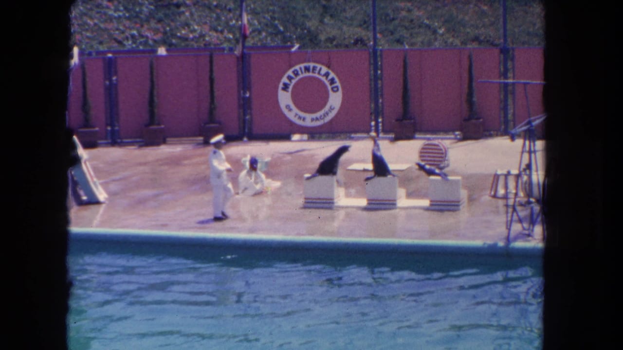 Sea lions and white-uniformed trainers perform beside a pool with a Marineland backdrop.