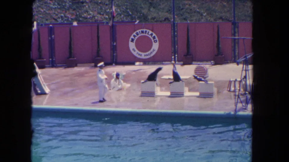 1962 home-movie frame of trainers and sea lions on platforms beside a pool at Marineland of the Pacific in Los Angeles.