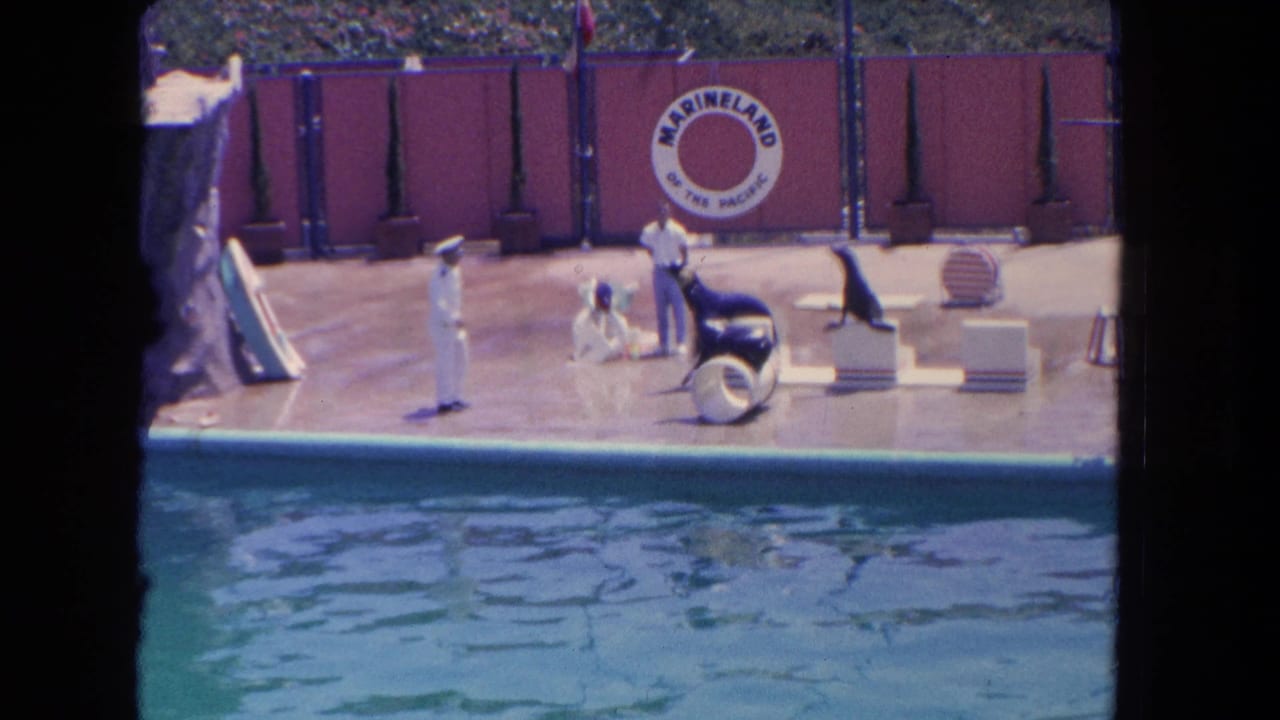 Sea lions and trainers perform on a poolside stage with a Marineland sign behind them.