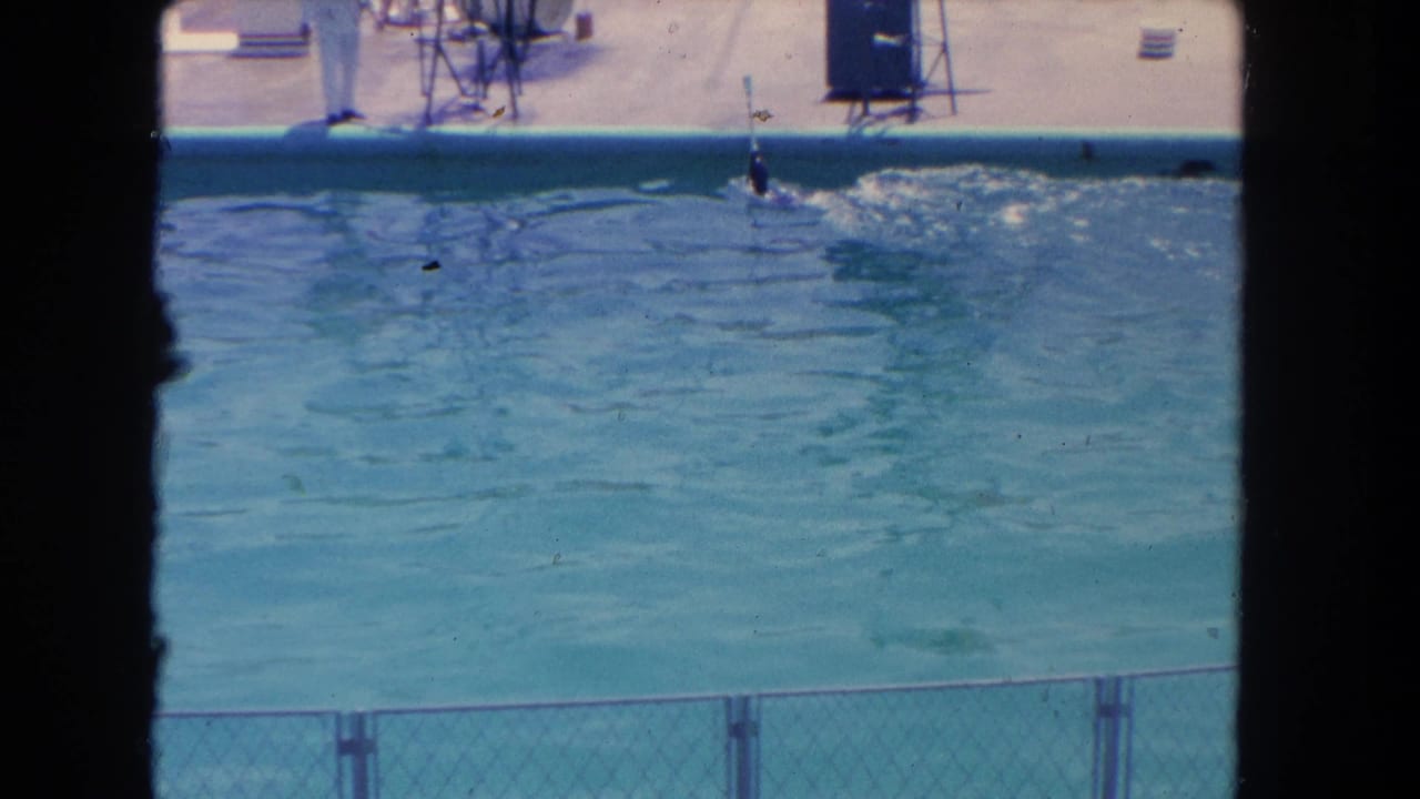 Sea lion performance pool with a handler near the stage and dark film-frame edges.