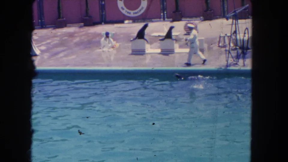 Vintage home-movie frame of a Marineland sea lion act with a handler crossing the stage and animals near platforms.