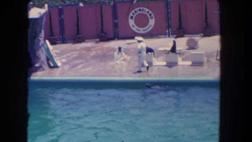 1962 Marineland performance frame showing handlers and sea lions on a poolside stage with the park sign visible behind them.