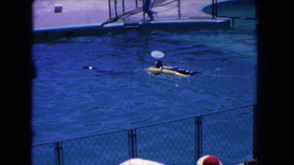 1962 Marineland home-movie frame of a sea lion swimming in the pool with a small circular prop visible above it.