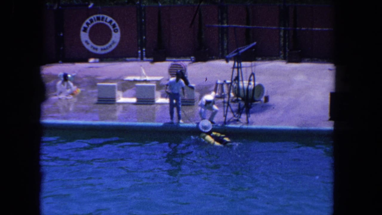 Trainer bends near the pool edge as the animal rests by a yellow float in the water.