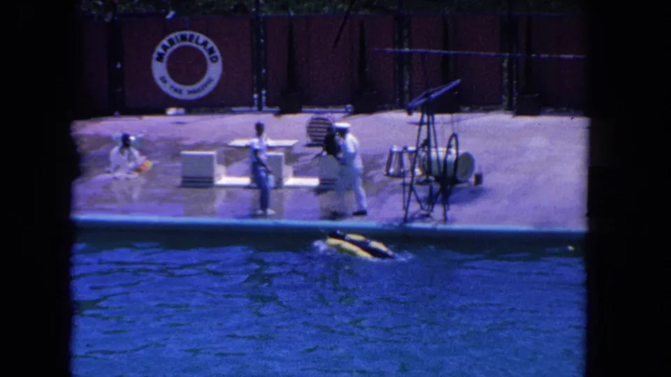 1962 Marineland performance moment with two visible people on the deck and a marine animal near the blue pool water.