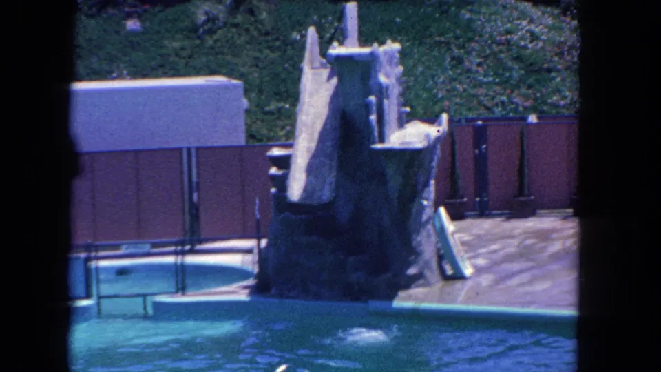 1962 Los Angeles frame showing rippling pool water and the rocky platform moments after the seal's dive.