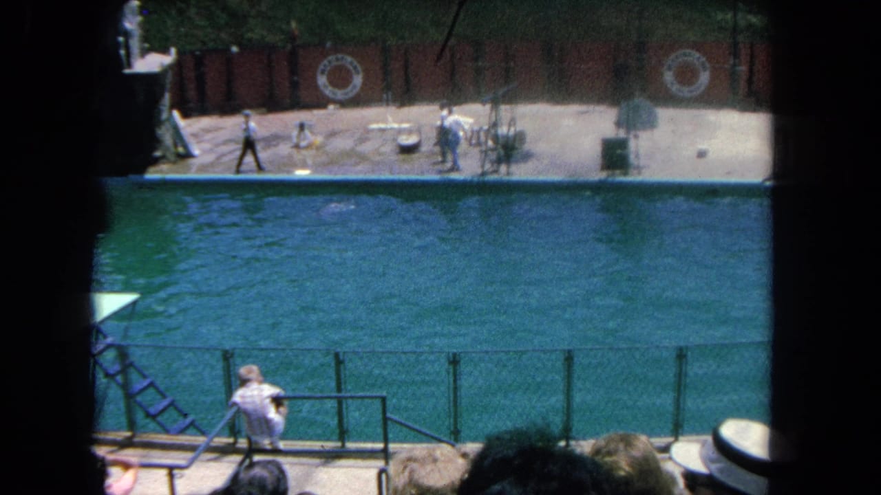 Audience-view of a large marine show pool with trainers and a dolphin area in the distance.