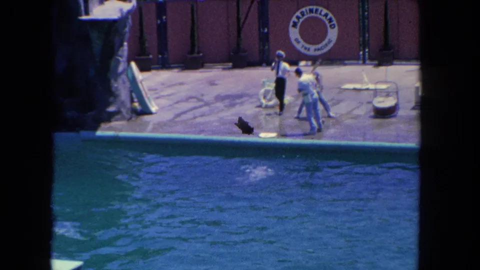 End frame of the 1962 Marineland show segment, with trainers on deck and a visible splash in the performance pool.