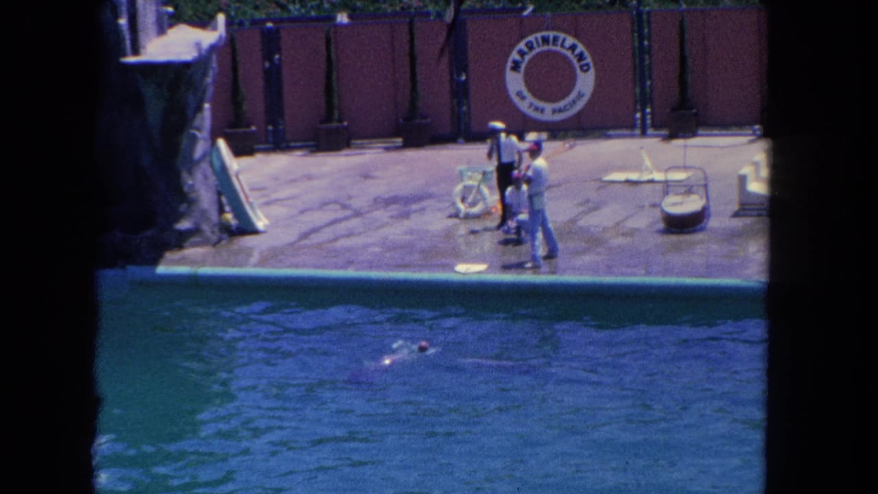 Visitor-shot 1962 Marineland scene with a dolphin moving through the pool while uniformed trainers stand near the red backdrop.
