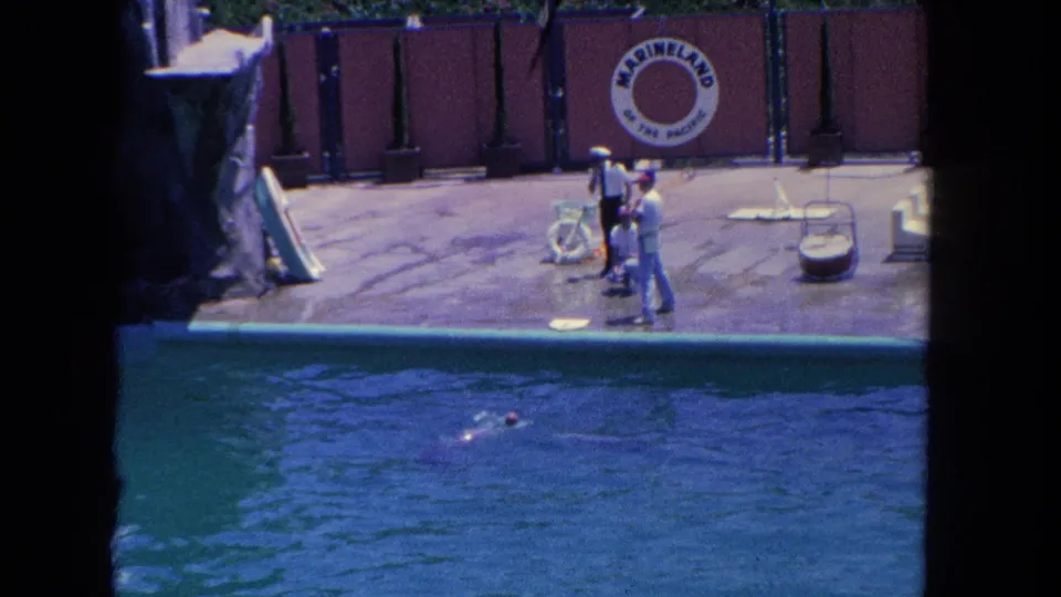 Visitor-shot 1962 Marineland scene with a dolphin moving through the pool while uniformed trainers stand near the red backdrop.