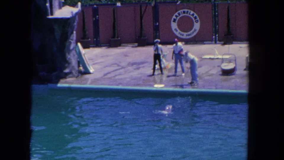 1962 Los Angeles-area home-movie frame showing trainers cueing a dolphin beside the Marineland pool during a public show.