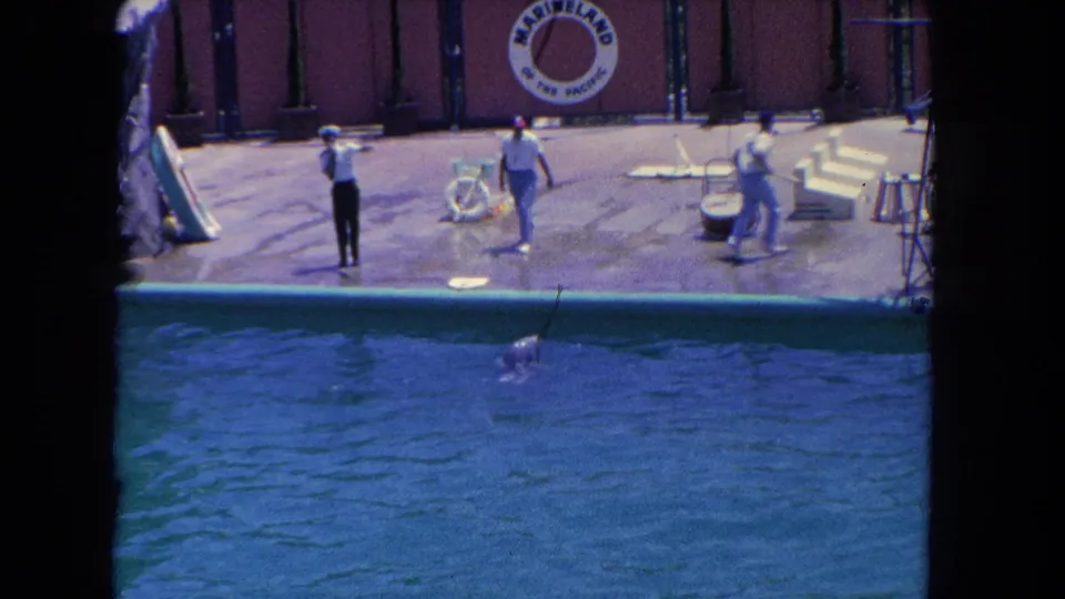 1962 8mm Marineland show frame with a dolphin rising from the water, trainers on the platform, and the venue sign in the background.