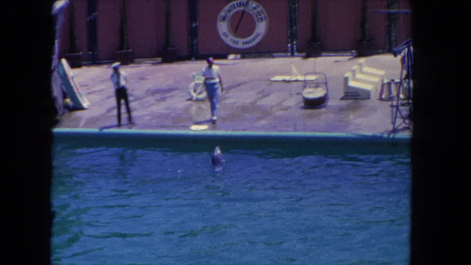 1962 Marineland of the Pacific scene with a trainer on a concrete platform, staff nearby, and a dolphin visible in the pool.