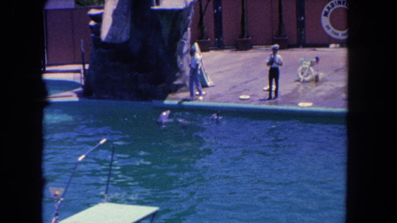 Two trainers stand beside a dolphin pool with dolphins swimming near a Marineland sign.