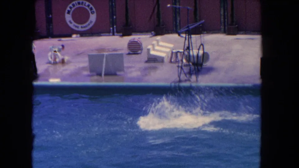 After a dolphin jump, a splash rises in the pool near the Marineland performance deck, with props and the circular sign visible.