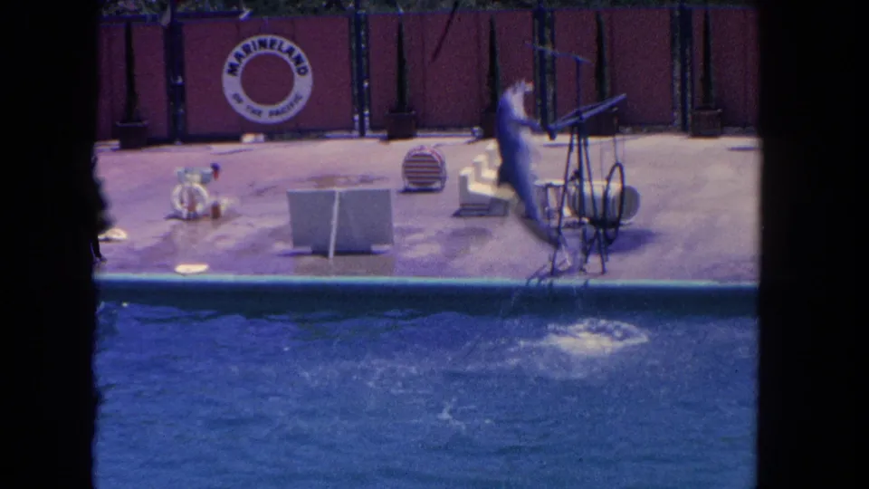 A dolphin leaps from the pool beside the Marineland stage in this 1962 Los Angeles-area home-movie frame, with trainer and props nearby.