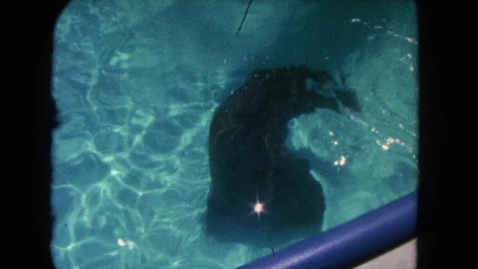 1962 Los Angeles 8mm frame showing a seal turning underwater beside a blue pool edge, with bright ripple patterns across the water.