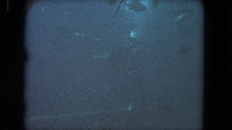 Murky underwater 8mm frame with scattered bright flecks, scratches, and dark rounded frame borders.
