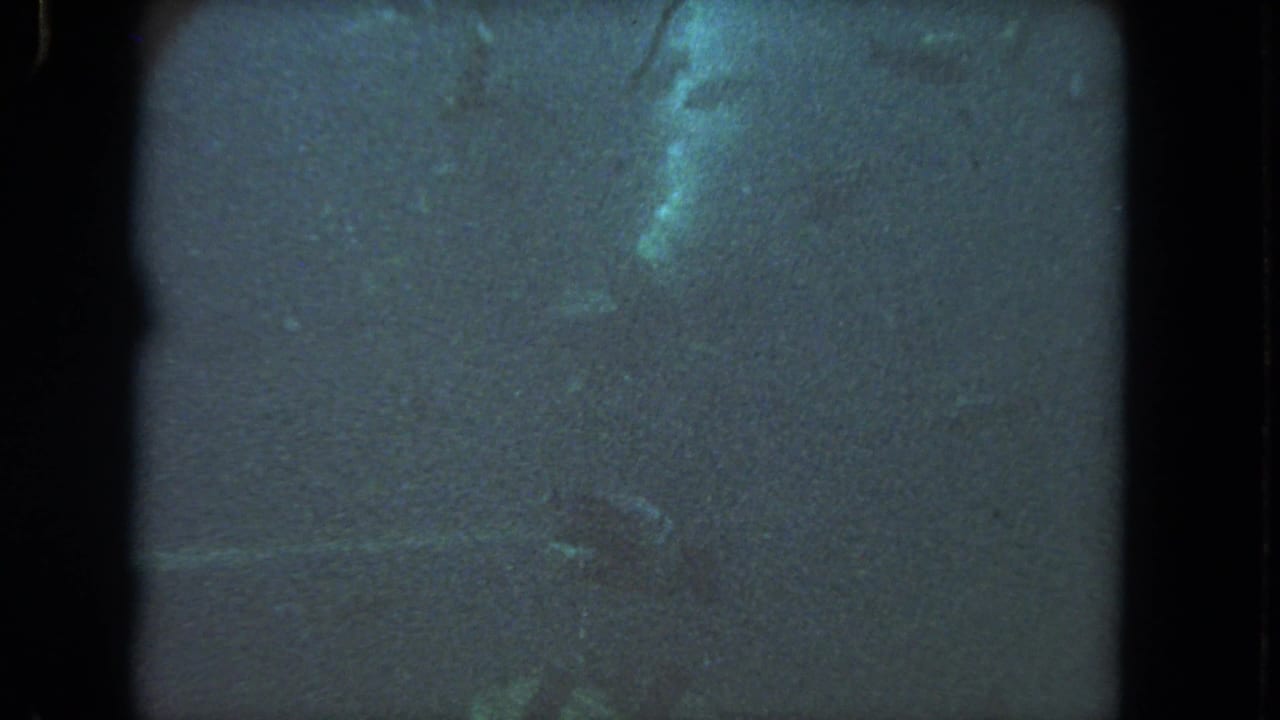 1962 8mm Los Angeles underwater frame with low visibility, blue-green water, scratches, and indistinct fishlike forms.