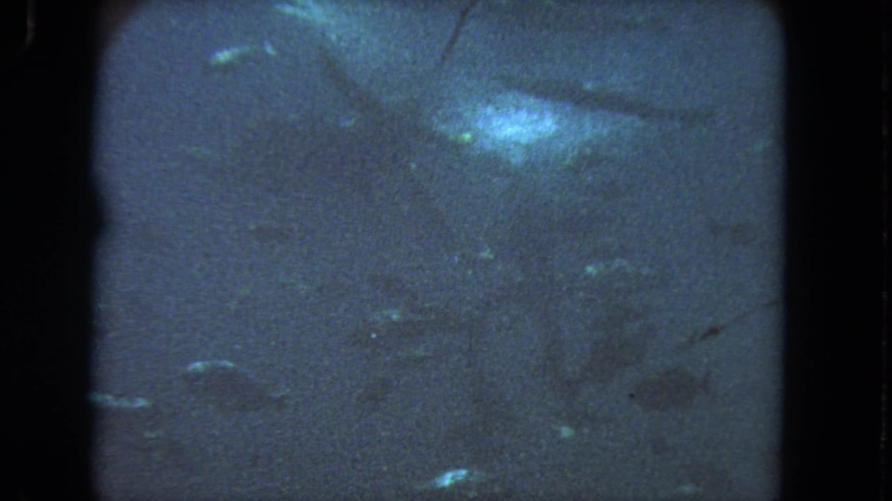 1962 8mm underwater view near Los Angeles, showing murky blue water, faint fish, and soft light through grainy film.