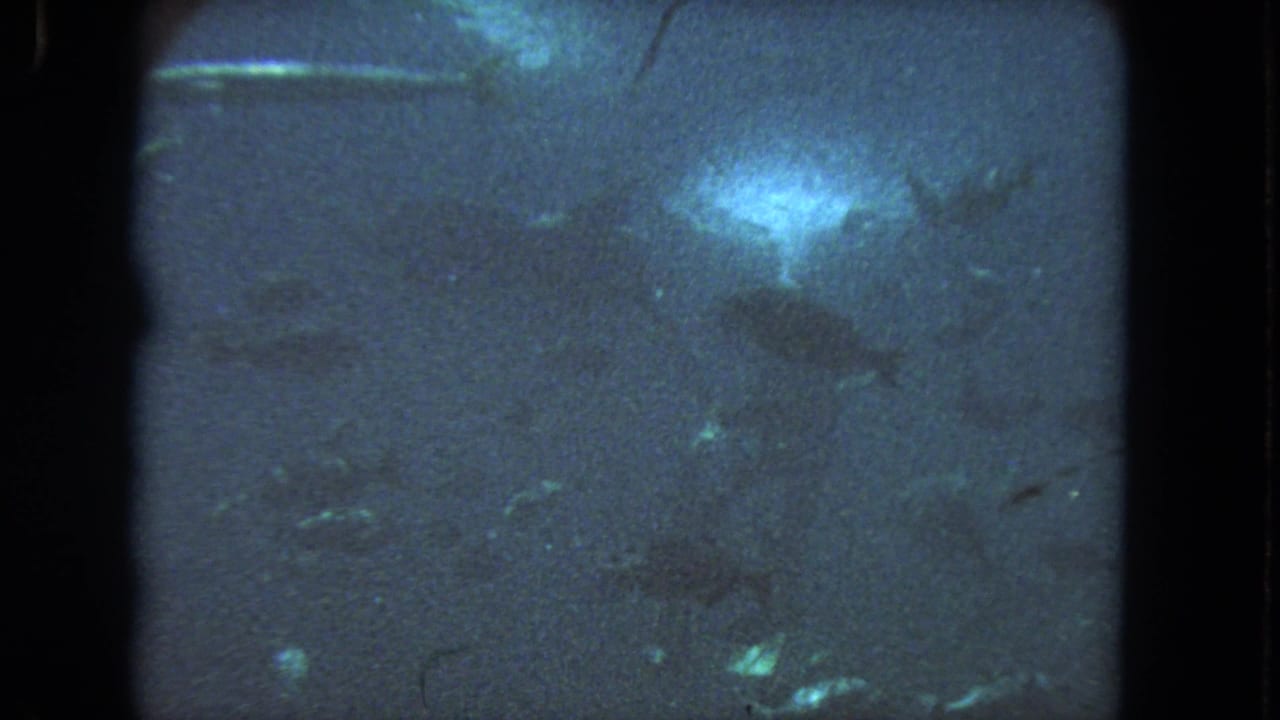 Grainy 1962 underwater home-movie frame with fish silhouettes in dim blue water and a bright patch of filtered light.