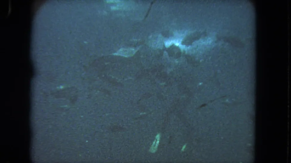 Final 1962 underwater frame with faint fish, blue haze, and bright shapes near the lower edge of the 8mm image.