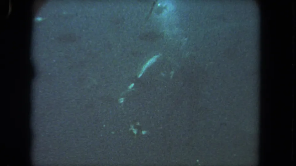 Blue-green 1962 8mm underwater frame from the Los Angeles clip, with faint fish or fin shapes, scattered bubbles, and soft grain.