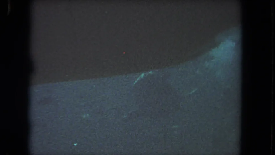 1962 Los Angeles 8mm frame with a partially visible sea turtle near the right edge, seen through dim blue-green water and pronounced film grain.