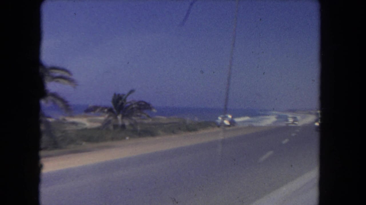 Open coastal roadway with palm trees, ocean, and distant cars ahead.