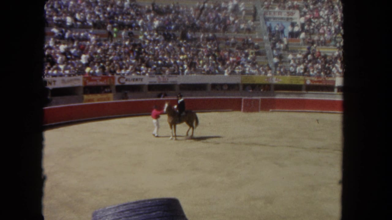 Person in a red shirt stands near a horse and rider in the arena.